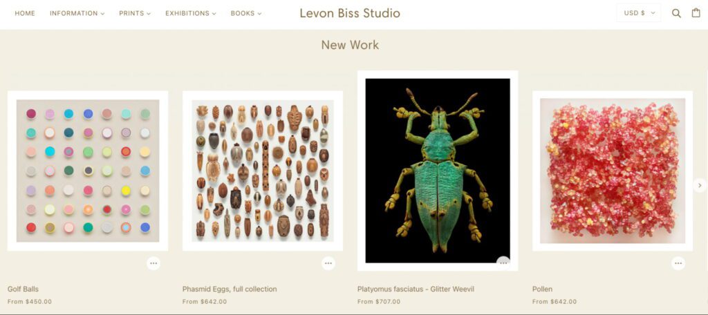 Levon Biss Studio
